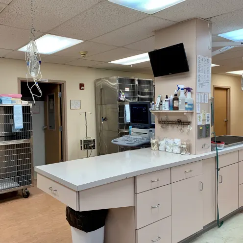 Surgery Area 1 at Camboro Veterinary Hospital